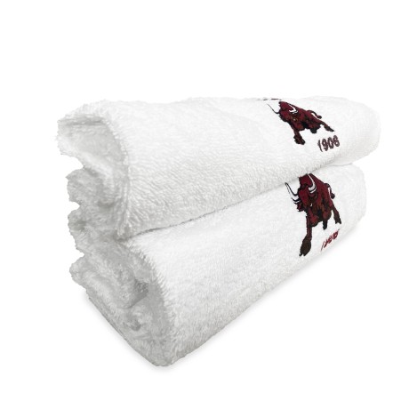 PAIR OF EMBROIDERED TOWELS...
