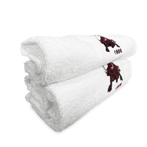 PAIRE de SERVIETTES brodées TORO 1906