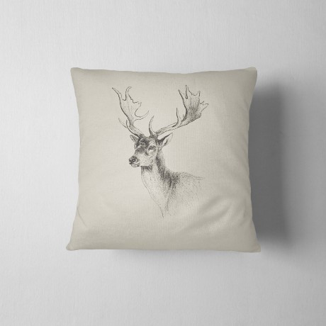 Coussin meubles tyroliens...