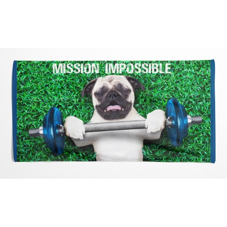 MISSION IMPOSSIBLE terry...