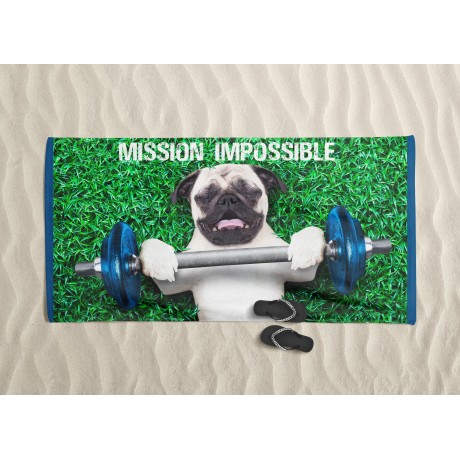 MISSION IMPOSSIBLE terry...