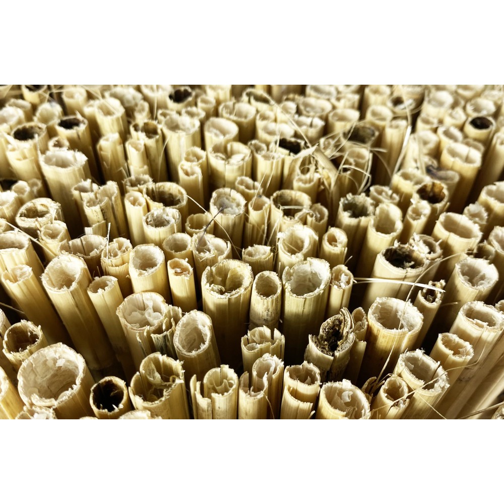 ARELLA PRIVACY Premium © en bambou CANNICCIO arelle CANNE diamètre jusqu’à 1 cm. pour RECINZIONE ombre en 8 MESURES