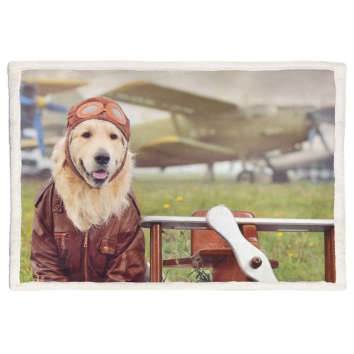 PLAID FLEECE blanket Sherpa fantasy HD dog labrador aviator