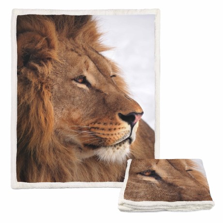 PLAID Fleece Blanket Sherpa...