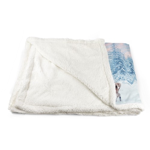 PLAID Fleece Blanket Sherpa Fantasy HD Pair of CERVI