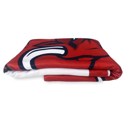 SERVIETTE de plage SPORT PUISSANCE TORO grande taille, le cm. 90 X 170 et de la carte postale de TURIN A ÉTÉ, et restera, la