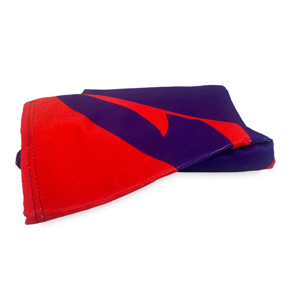 SERVIETTE DE PLAGE en éponge FORZA VIOLA mesure un grand cm. 90 x 170