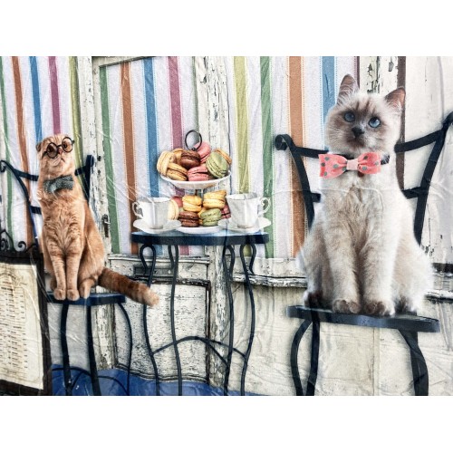 PLAID Decke FLEECE SHERPA DIGITAL Foto Katzen Patisserie