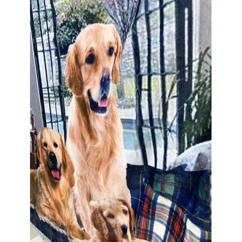 PLAID coperta IN PILE SHERPA DIGITALE fotografico CANE Labrador