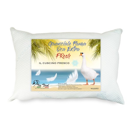 Fresh goose down pillow