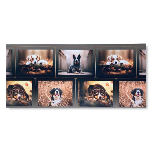 TAPPETO Runner da CUCINA Passatoia Antiscivolo CANE Cani Made in Italy