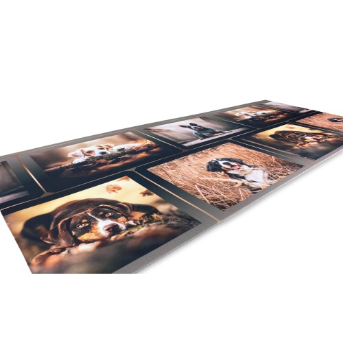 RUG Küchenläufer Rutschfester Läufer DOG Hunde Made in Italy