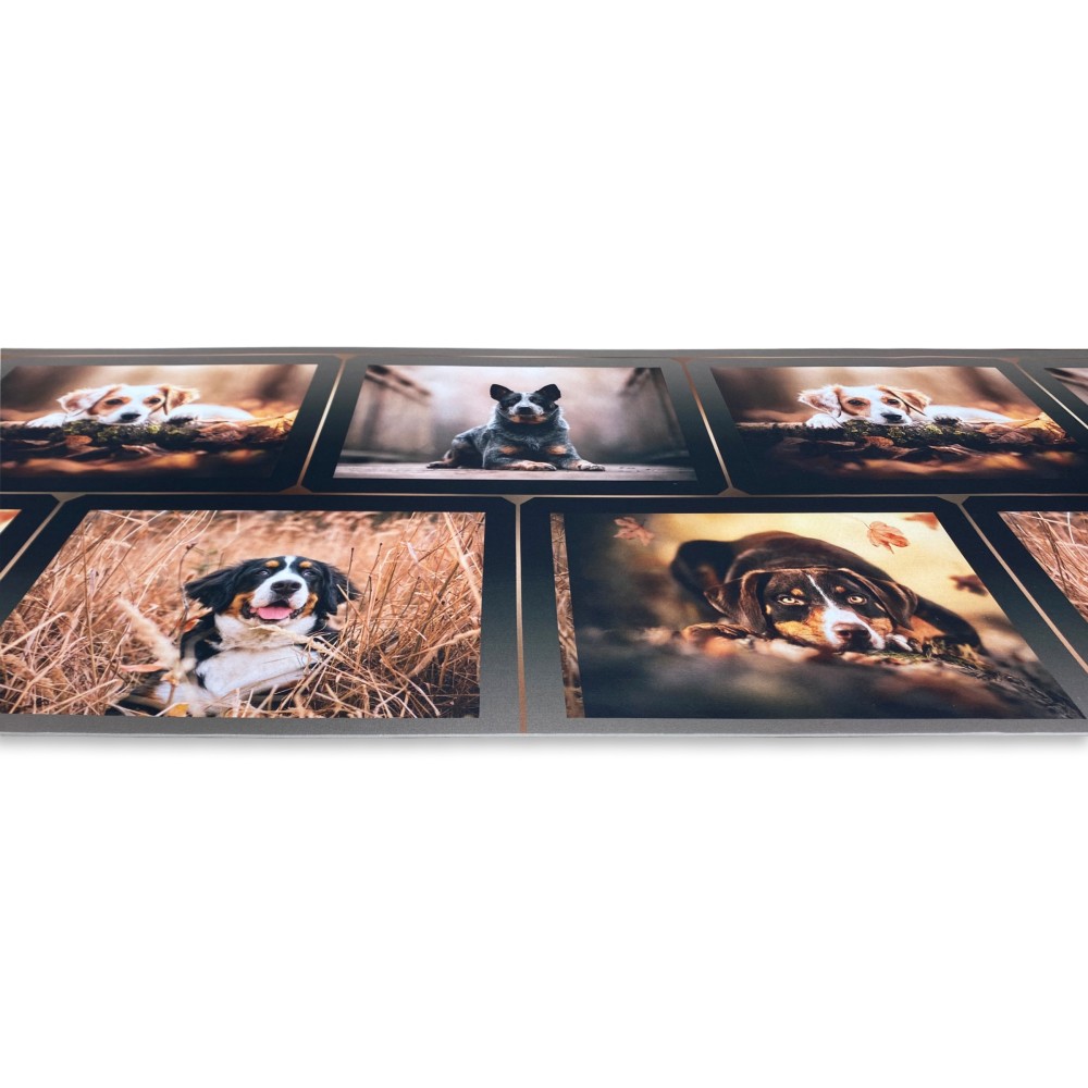 ALFOMBRA Corredor de cocina Corredor antideslizante PERRO Perros Made in Italy