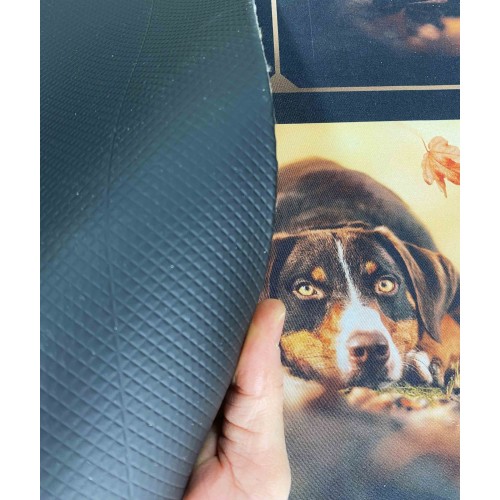 RUG Kitchen Runner Non-slip Runner DOG Dogs Made in Italy