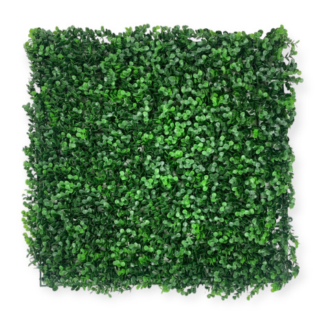 vertical wall hedge leaf house