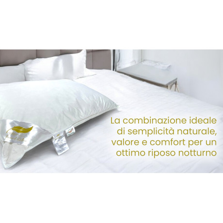 Feather Pillows, Set of 2...