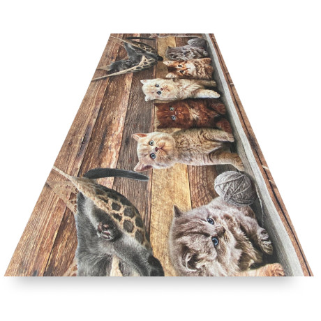 Tapis de course avec chats...