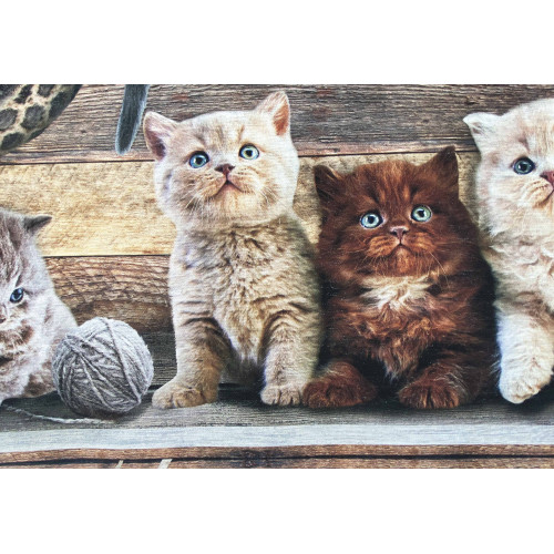 Runner Decke mit Katzen – rutschfest, waschbar, weicher Läufer, verschiedene Größen – Made in Italy