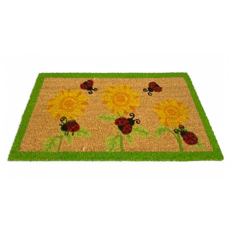 Tapis d’entrée d’extérieur...