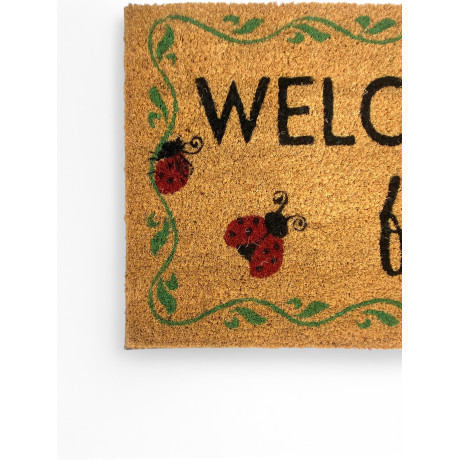 Outdoor Entrance Rug in...
