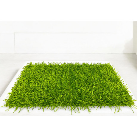 MODERN GREEN SHAGGY RUG all...