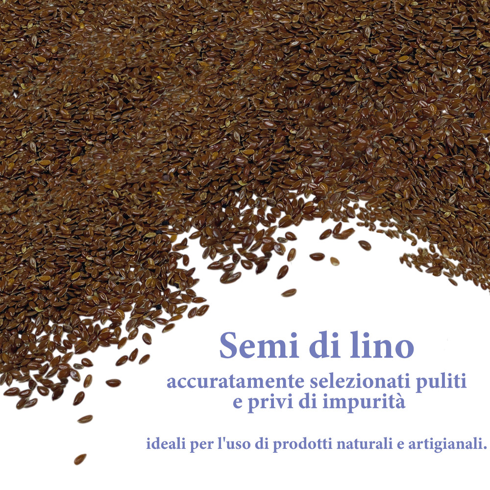 Graines de lin naturelles lavées et stérilisées – pour les coussins chauffants, les compresses cosmétiques et l’artisanat