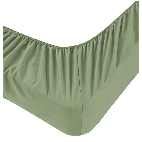 Detail der Ecke des Blattes unter Adatpo Jersey Green mit 30 cm Blende