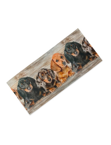 Küchenteppich Runner Puppies Dackel – Waschbarer rutschfester Küchenläufer PVC 6 mm – Made in Italy