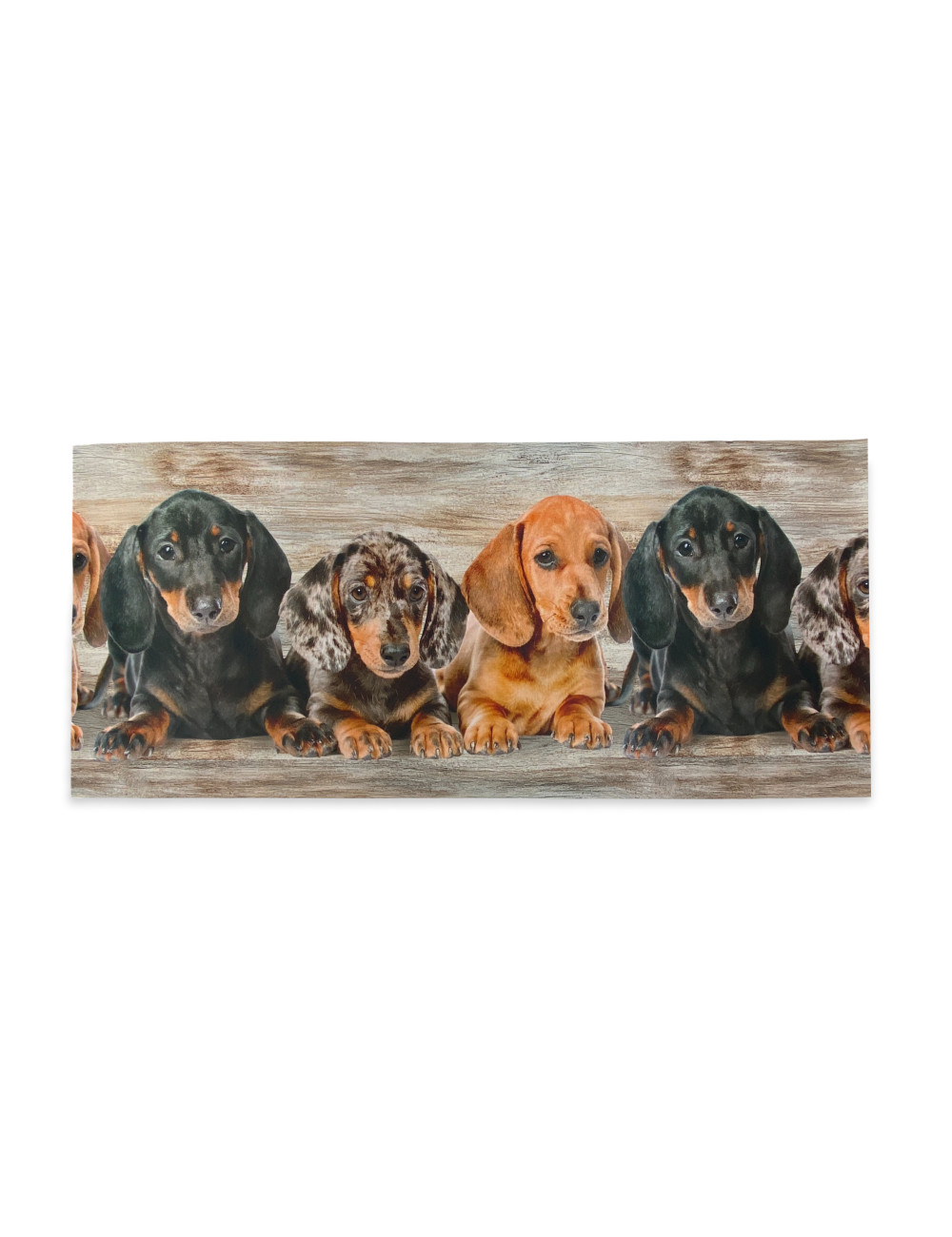 Kitchen Rug Runner Puppies Dachshunds – Washable Non-Slip Kitchen Runner PVC 6 mm – Made in Italy