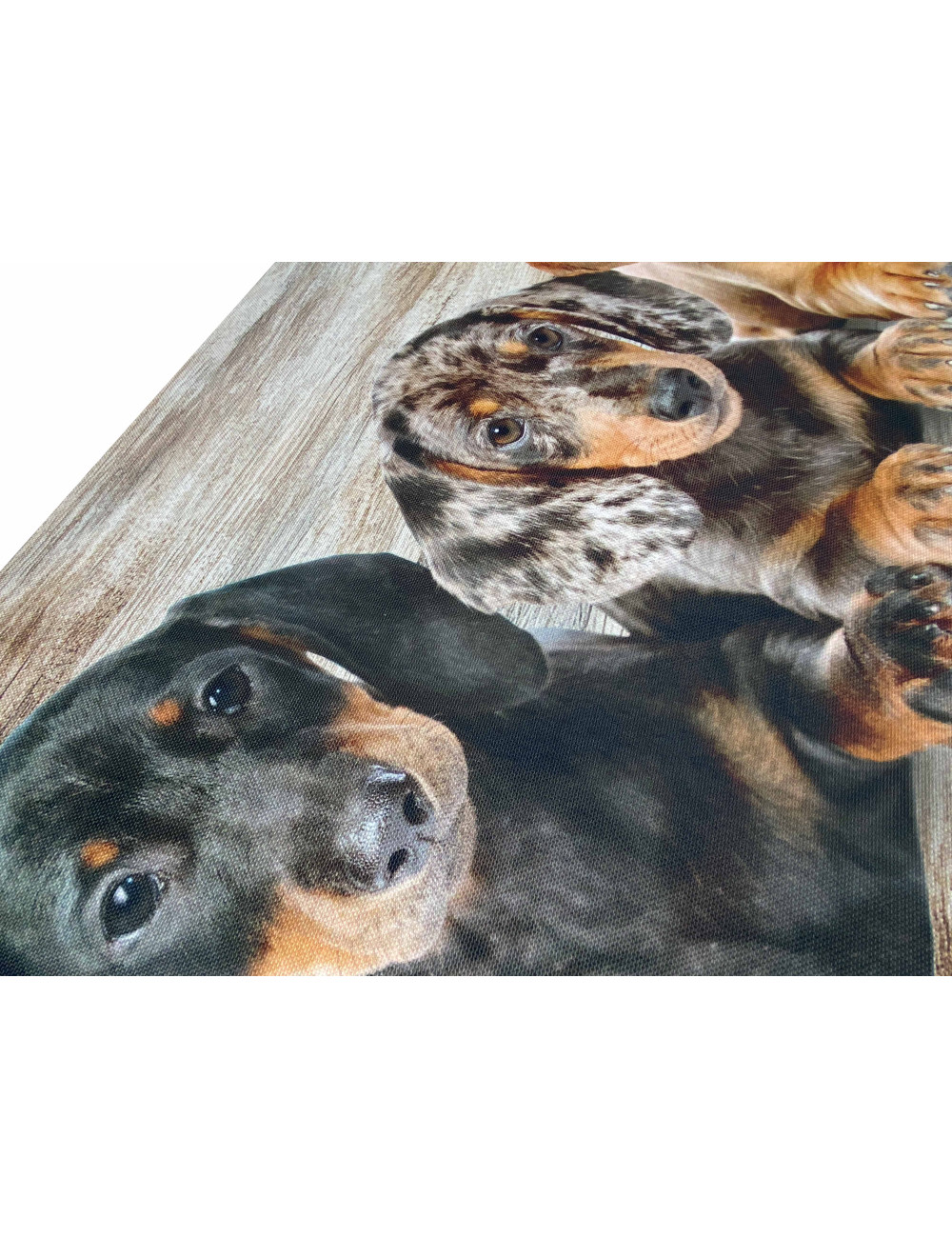 Alfombra de Cocina Cachorros Dachshunds – Alfombra de Cocina Lavable Antideslizante PVC 6 mm – Made in Italy