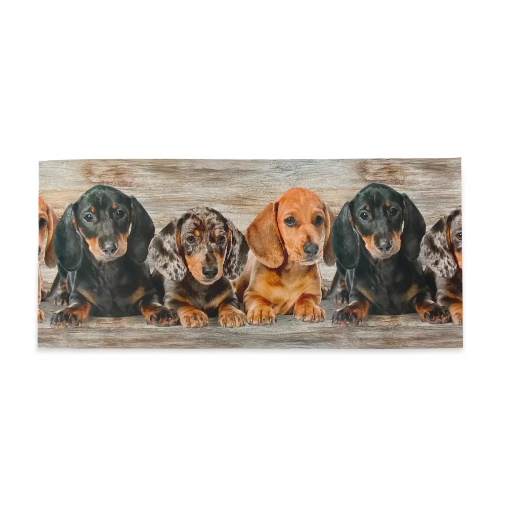 Tapis de cuisine Runner Puppies Dachshunds – Tapis de cuisine lavable et antidérapant PVC 6 mm – Made in Italy