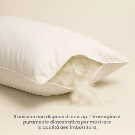 Oreiller en duvet d’oie 50x80 Trentin - Oreiller de lit en sergé en coton doux hypoallergénique