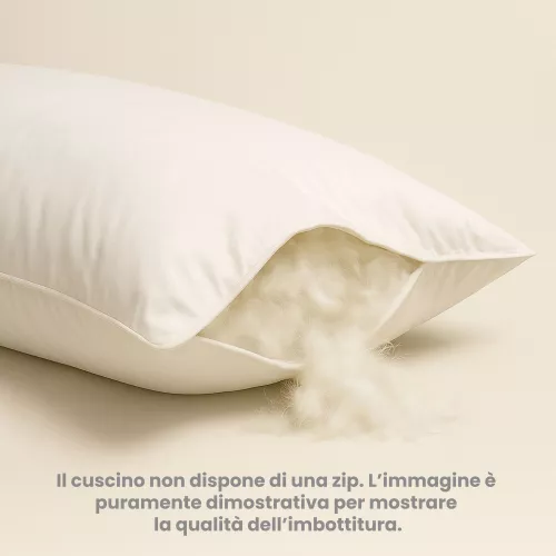 Oreiller en duvet d’oie 50x80 Trentin - Oreiller de lit en sergé en coton doux hypoallergénique
