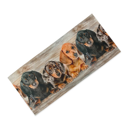 Tappeto Cucina Runner Cuccioli Bassotti – Passatoia Cucina Antiscivolo Lavabile PVC 6 mm – Made in Italy