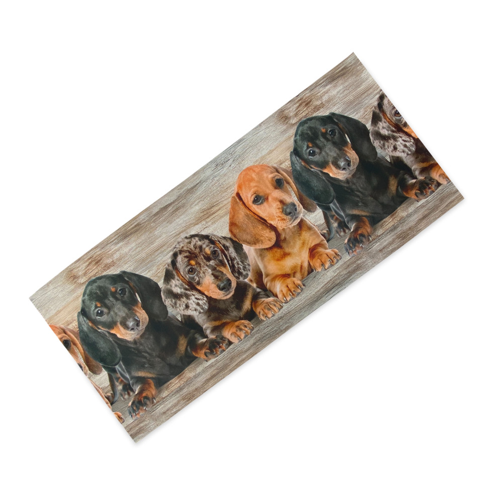 Tappeto Cucina Runner Cuccioli Bassotti – Passatoia Cucina Antiscivolo Lavabile PVC 6 mm – Made in Italy