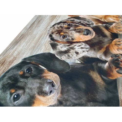 Kitchen Rug Runner Puppies Dachshunds – Washable Non-Slip Kitchen Runner PVC 6 mm – Made in Italy