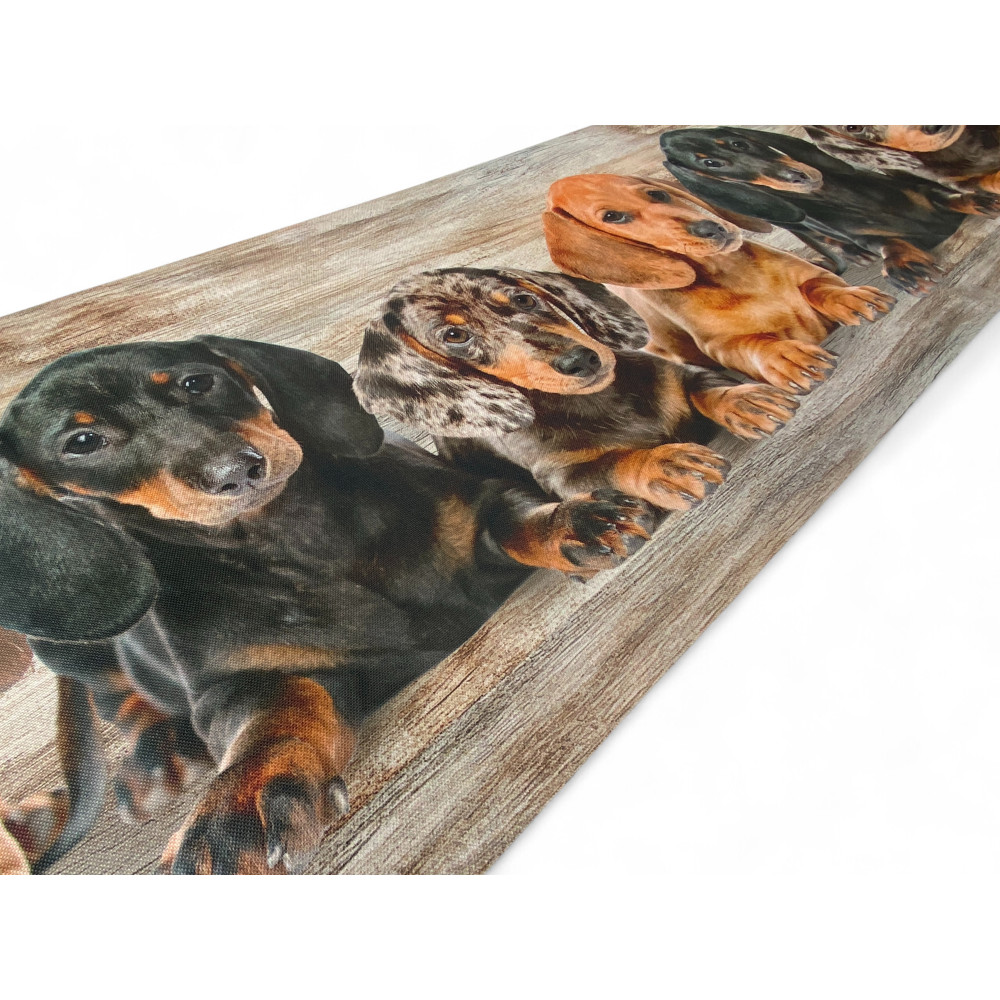 Alfombra de Cocina Cachorros Dachshunds – Alfombra de Cocina Lavable Antideslizante PVC 6 mm – Made in Italy