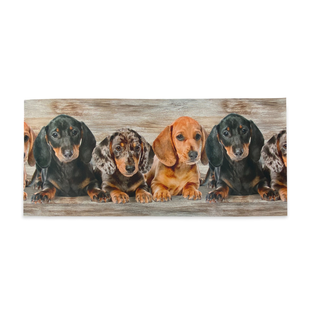 Alfombra de Cocina Cachorros Dachshunds – Alfombra de Cocina Lavable Antideslizante PVC 6 mm – Made in Italy