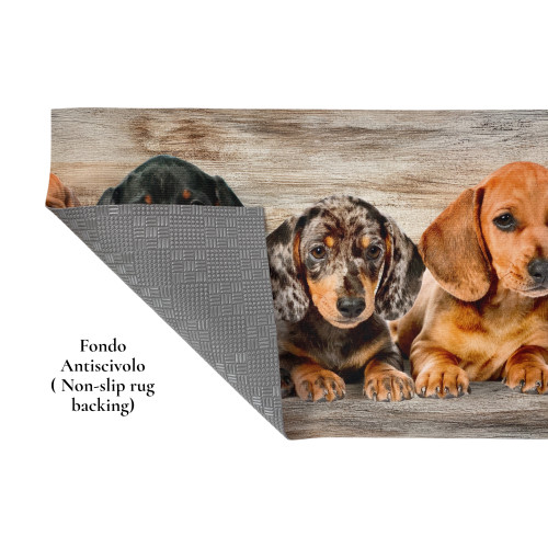 Alfombra de Cocina Cachorros Dachshunds – Alfombra de Cocina Lavable Antideslizante PVC 6 mm – Made in Italy