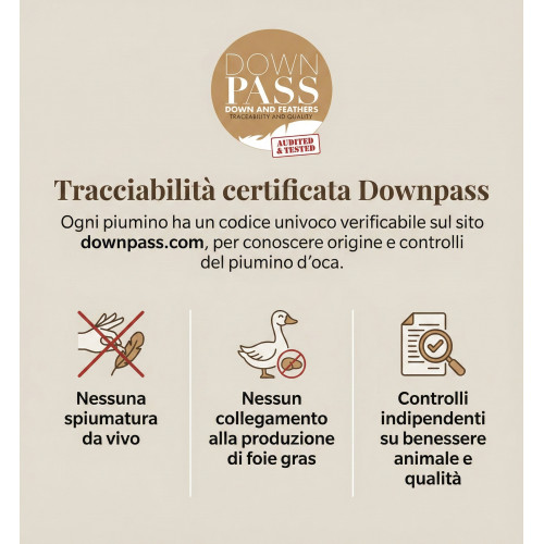 Imperial Night Duvet - 100% Virgin Goose Down Class 1, Fixed Pictures, Batiste 70, DOWNPASS, Made in Austria