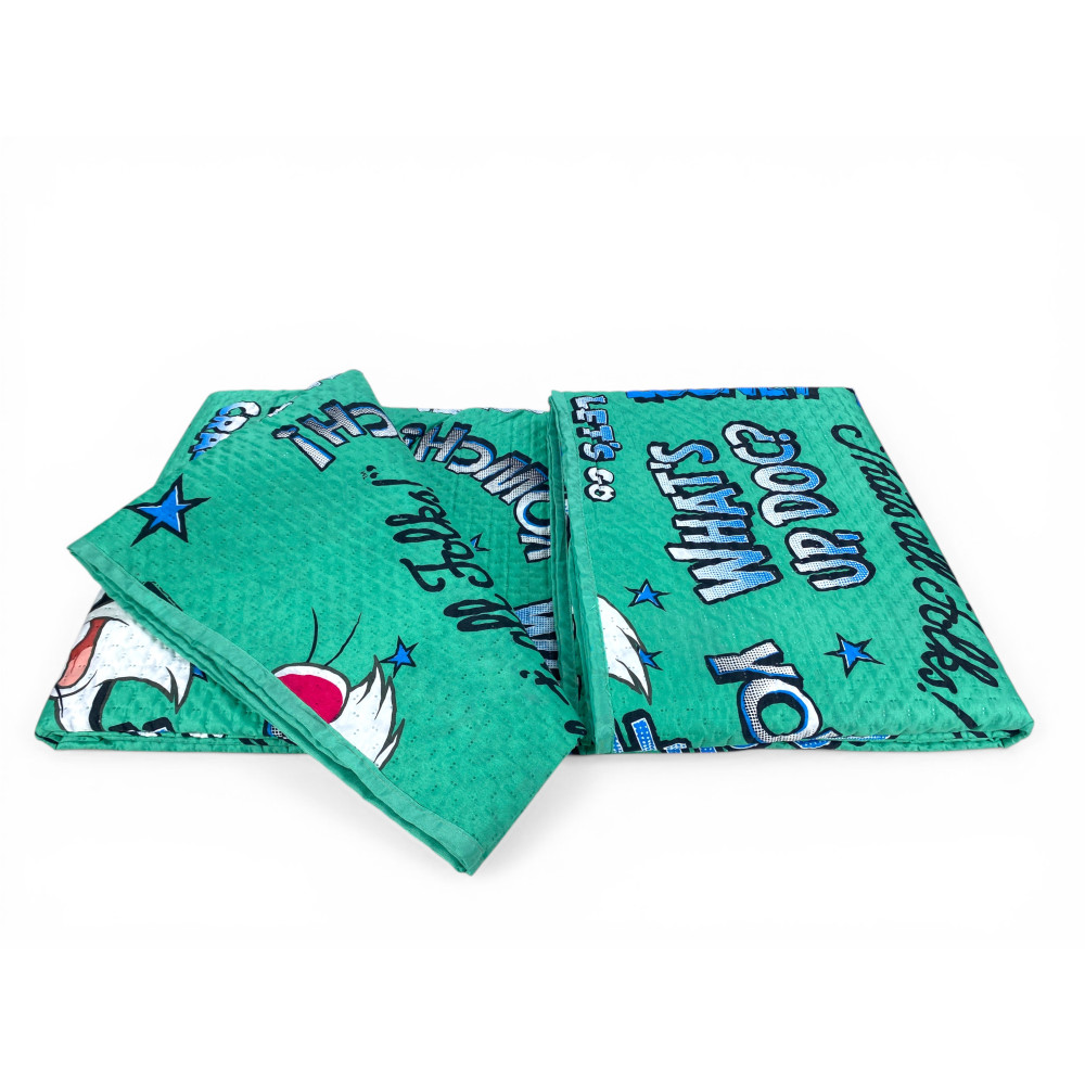 Kinder-Einzelbettdecke 170x250 grüne Sylvester Cat Looney Tunes – leichte Decke 80 g/m², hergestellt in Italien