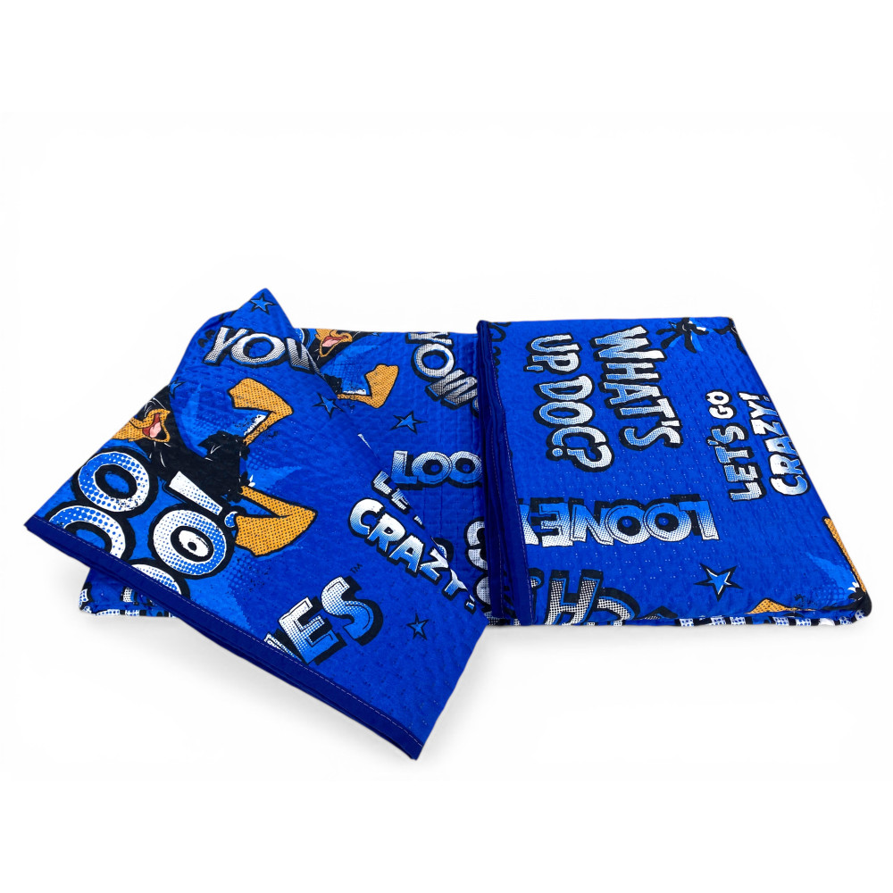 Kinder-Einzelbettdecke 170x250 Daffy Duck Blue – Helle Decke 80 g/m² aus Mikrofaser, hergestellt in Italien