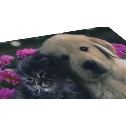 FUSSMATTE TEPPICH DIGITAL FRIENDS CM.40X60 HUND KATZE BLUME