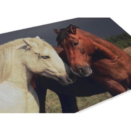 DIGITAL FRIENDS DOORMAT CM.40X60 HORSE HORSES