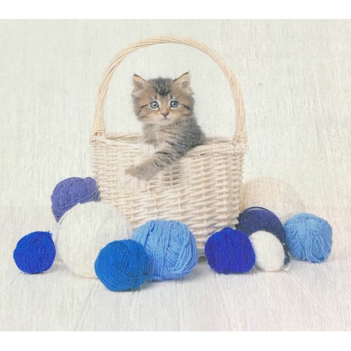 TAPIS D'IMPRESSION NUMÉRIQUE DE SOIE CHAT CHATS