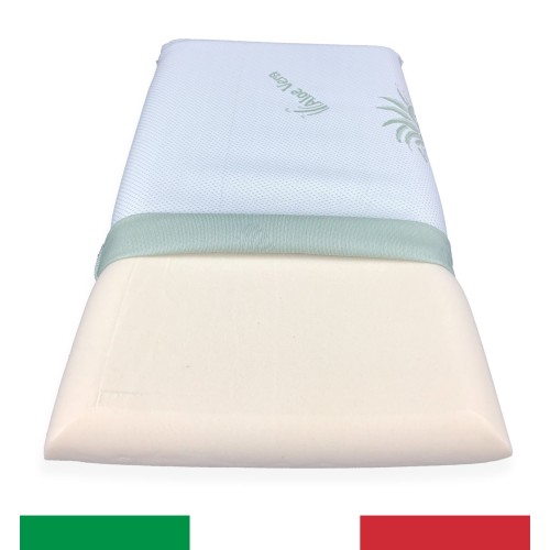 L'OREILLER OREILLER EN MOUSSE À MÉMOIRE DE DOUBLURE À BASE D'ALOE VERA