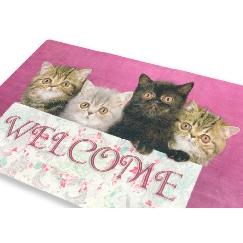 TAPIS PAILLASSON NUMÉRIQUE DE BIENVENUE CM.40X60 CHATS CHATONS ROSE