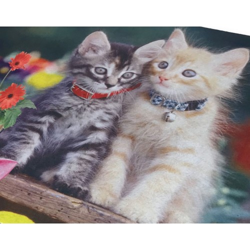 DIGITAL DOORMAT CARPET CM.40X60 I DUE GATTINI