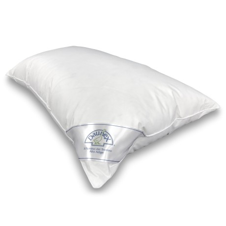 OREILLER EN DUVET D'OIE ISSIMO DAUNEX AVEC COUVERCLE TEXFAMILY MASSAGE