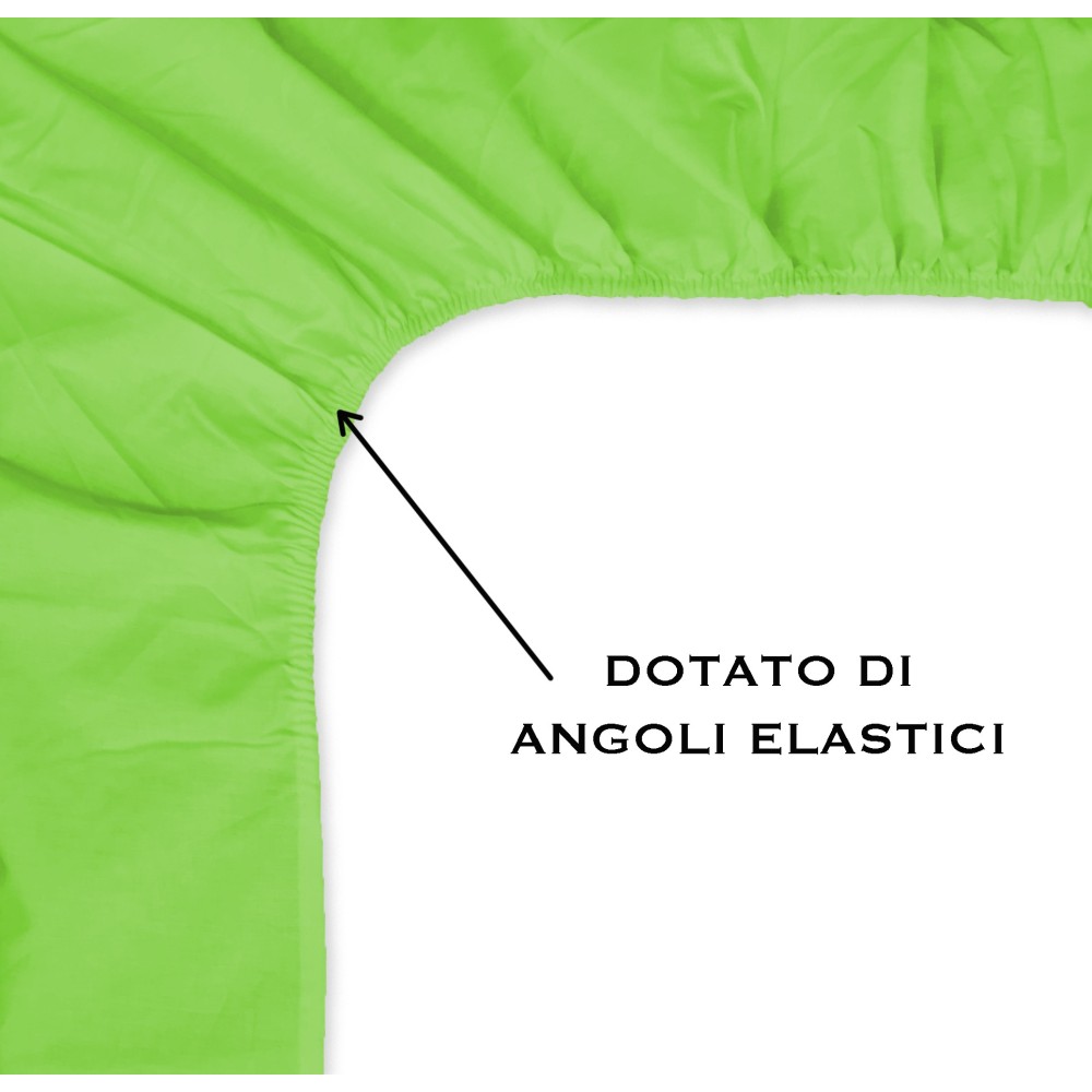 FRANCY BLATT MIT FRANZÖSISCHEN SÄUREGRÜNEN ECKEN 1 1/2 GROSSE MAXI